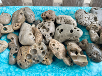 Hot off of the Island Hag Stones, Beach Stones, Fairy Stones
