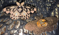Enamel Pins ~ Moths/Butterflies