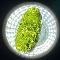 Moldavite Raw Freeform Specimens