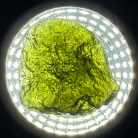Moldavite Raw Freeform Specimens