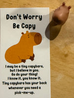 Humorous/Inspirational Pocket Buddies
