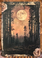 Post Cards ~ Gothic