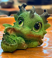 Baby Dragons