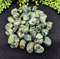 Kambaba Jasper