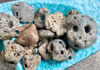 Hot off of the Island Hag Stones, Beach Stones, Fairy Stones