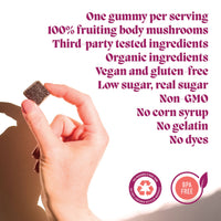 Hibernate Mushroom Gummies (5) / Vegan Supplement / Sleep