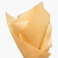 Bulk Color Tissue Paper 20X30" Sheets