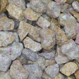 Rough Ruby in Kyanite