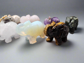 Elephants