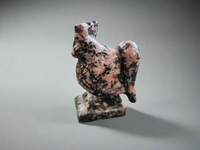 Rooster