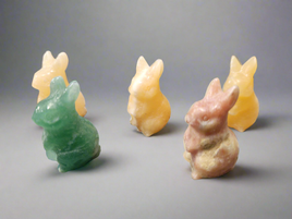 Small Rabbits