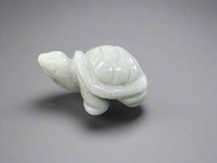 Crystal Turtles