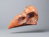 Raven Skull