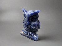 Owls