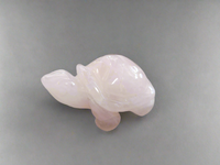 Crystal Turtles