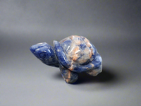 Crystal Turtles