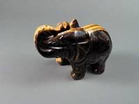 Elephants