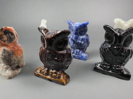 Owls