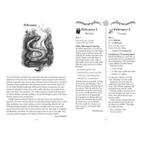 Llewellyn's 2027 Witches Spell-A-Day Almanac