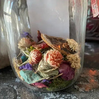 Woodland Fairy Good Fortune Jar: Crystals, Herbs, Hag Stone