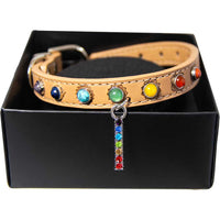 Vegan Leather Dog Collar - 7 Chakras - Large
