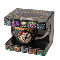 Magical 6PC Teacup Set