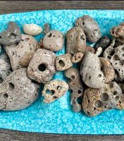 Hot off of the Island Hag Stones, Beach Stones, Fairy Stones