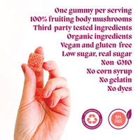 Elevate Mushroom Gummies (30) / Vegan Supplement / Mood