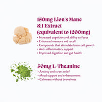 Concentrate Mushroom Gummies (5) / Vegan Supplement / Focus