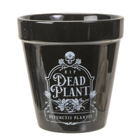 Dead Plant Garden Planter Halloween Decor