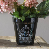 Dead Plant Garden Planter Halloween Decor