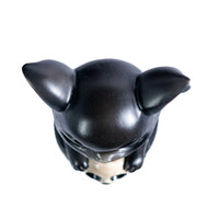 Potion Pals Onyx