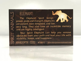 Elephant Info Card